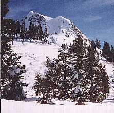 dpeak1a