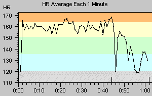 Bob's heart rate during the race